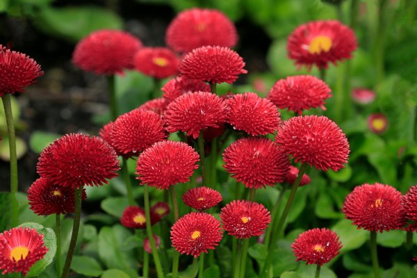 Impact Environnemental des Systèmes de Filtration de Piscines : Analyse Approfondie et Innovations Écologiques